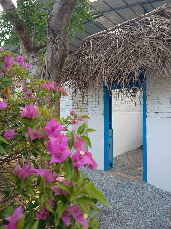 Hostel Calaila فاركَالا المظهر الخارجي الصورة